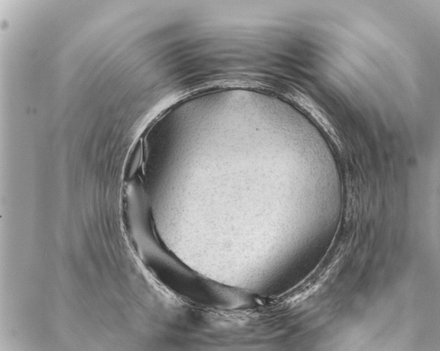 X0000087390853200705042008