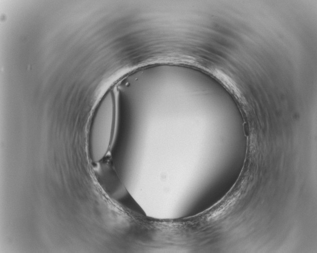 X0000087390854200705042008