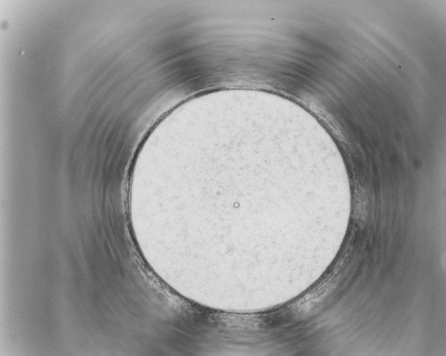 X0000087390856200705042008