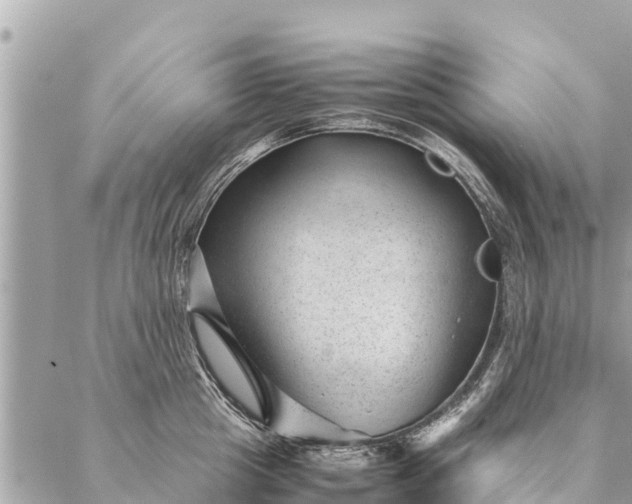 X0000087390857200705042008