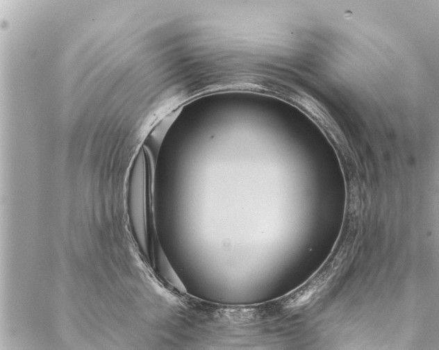 X0000087390858200705042009