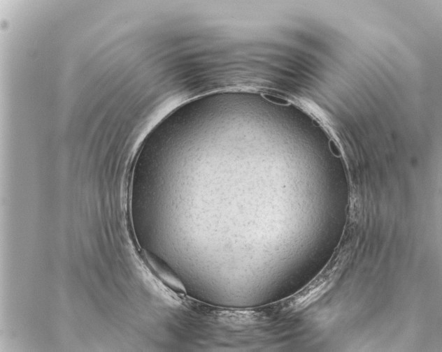 X0000087390859200705042009