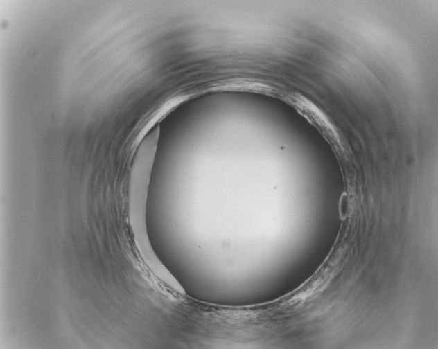 X0000087390860200705042009