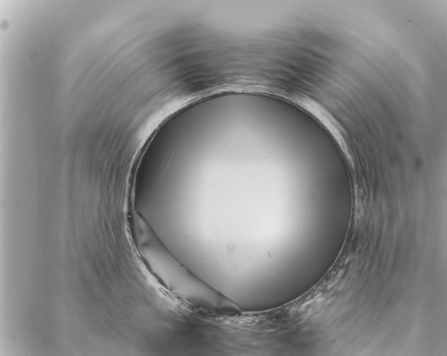 X0000087390861200705042009