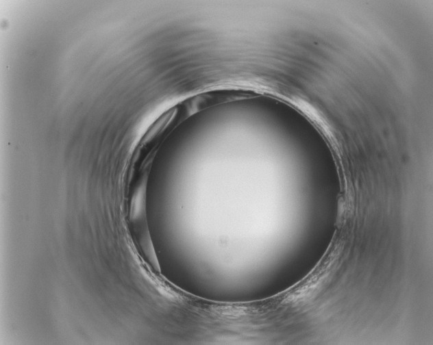 X0000087390862200705042009