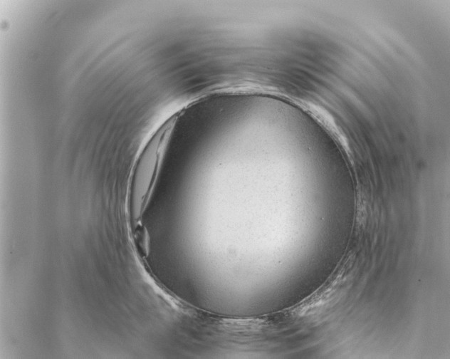 X0000087390863200705042009