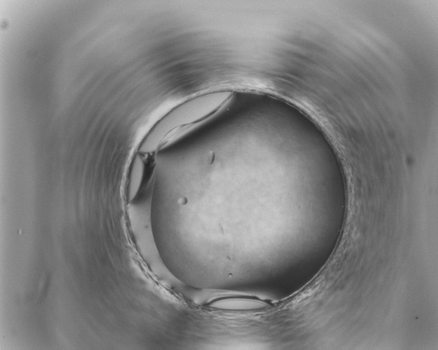 X0000087390864200705042009