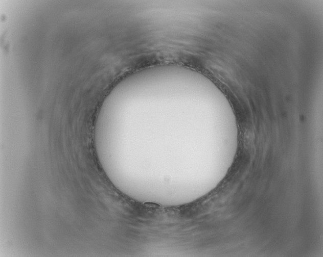 X0000087390865200705042008