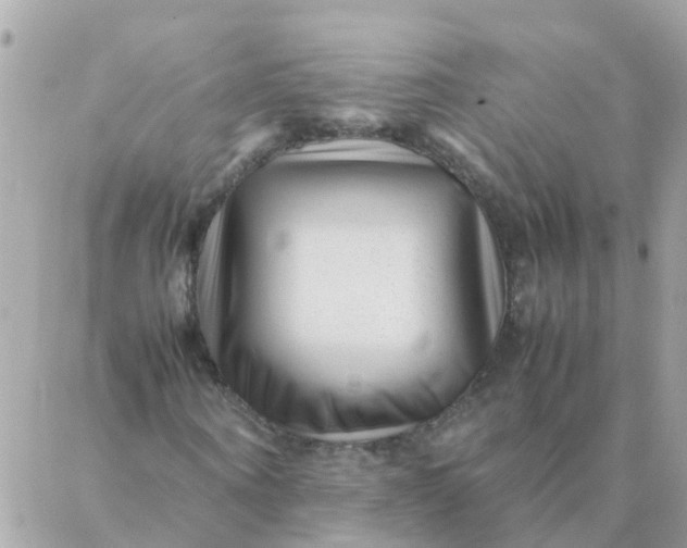 X0000087390866200705042008