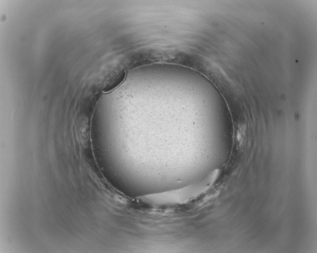 X0000087390867200705042008