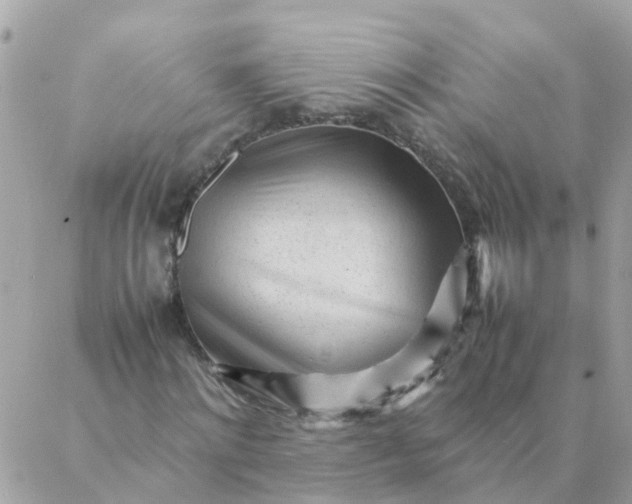 X0000087390868200705042008