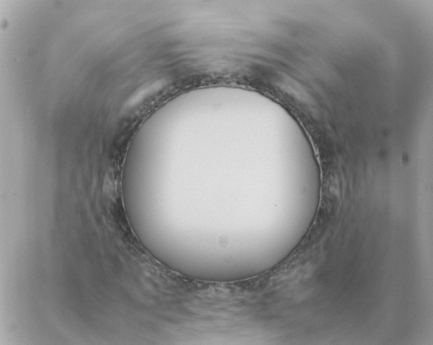 X0000087390869200705042008