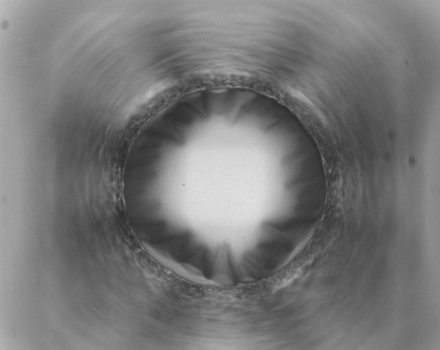 X0000087390870200705042008