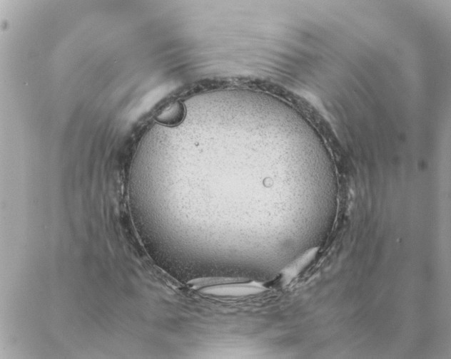 X0000087390871200705042008