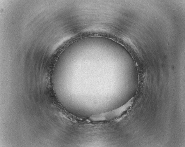 X0000087390872200705042008