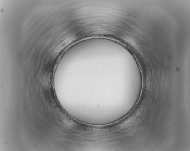 X0000087390873200705042008