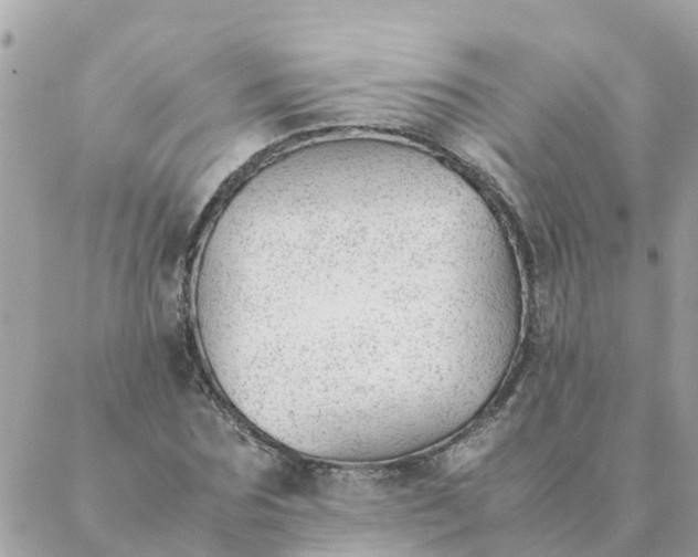 X0000087390875200705042008