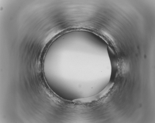 X0000087390876200705042008