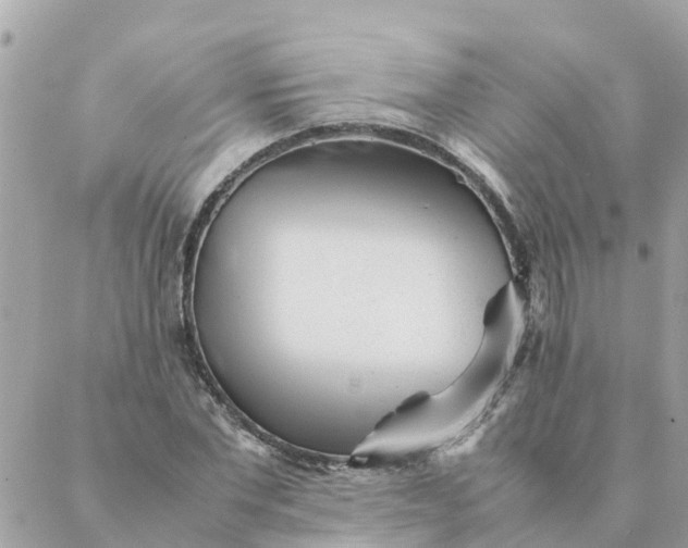 X0000087390877200705042008