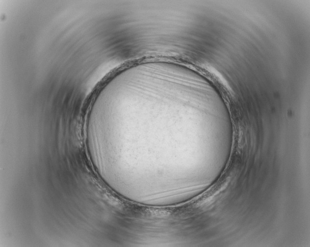 X0000087390878200705042008