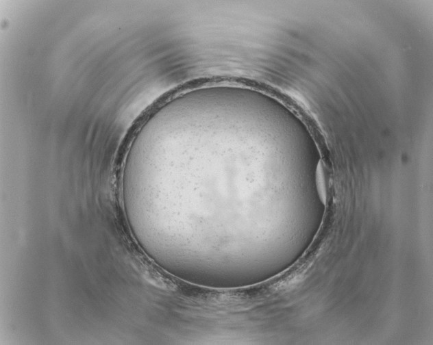 X0000087390879200705042008