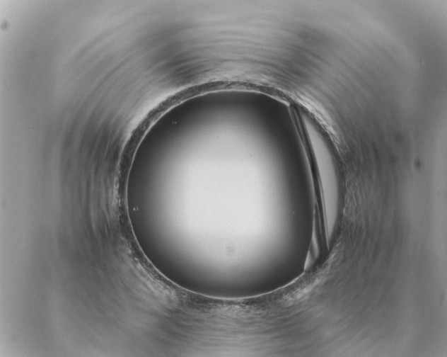 X0000087390880200705042008