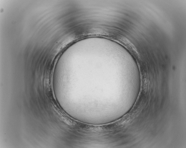 X0000087390882200705042008