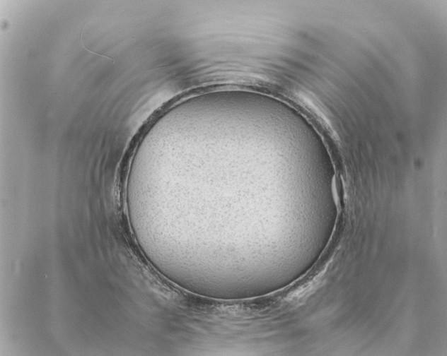 X0000087390883200705042008