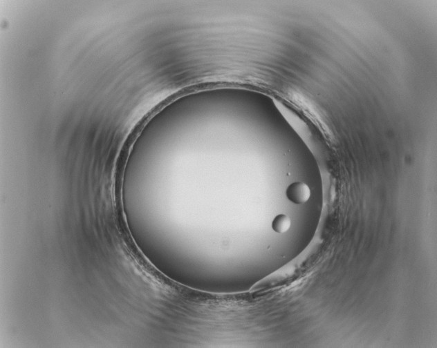 X0000087390884200705042008