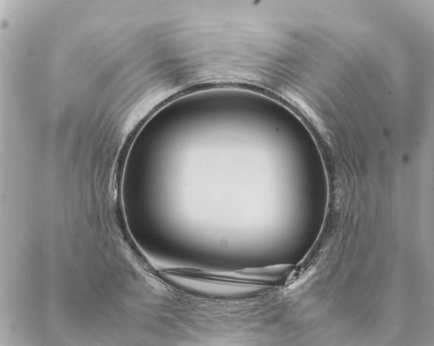 X0000087390885200705042007