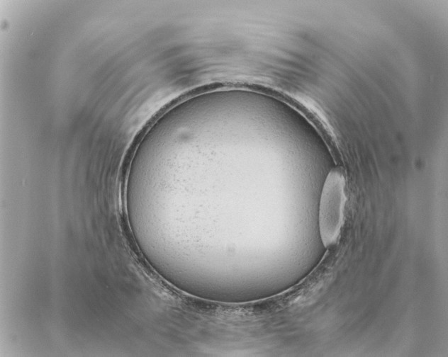 X0000087390887200705042007