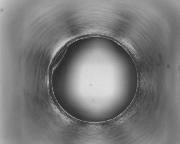 X0000087390888200705042007