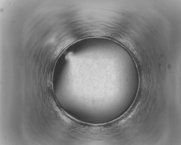 X0000087390889200705042007