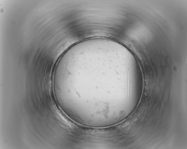 X0000087390890200705042007