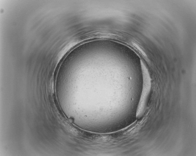 X0000087390891200705042007