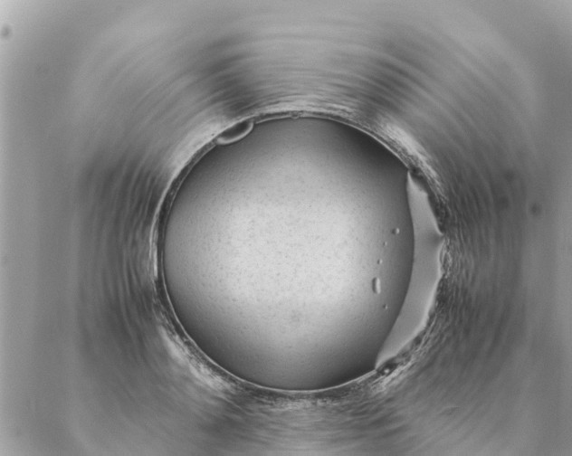 X0000087390892200705042007