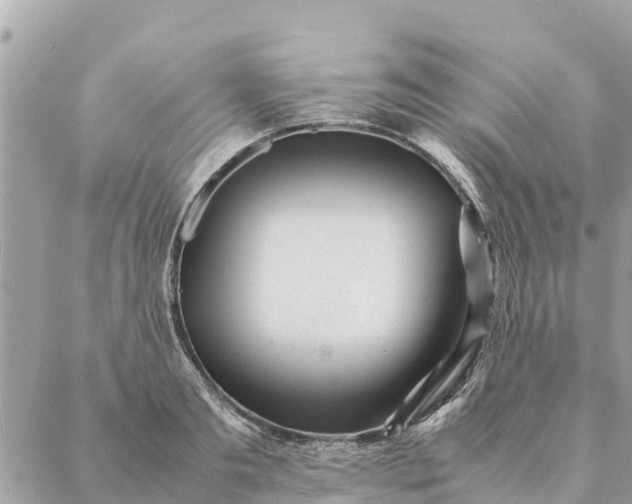 X0000087390893200705042007