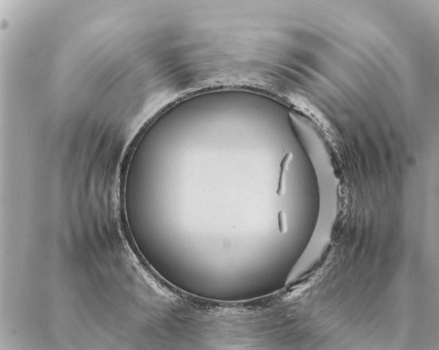 X0000087390894200705042007