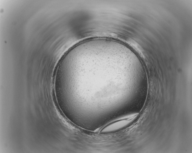 X0000087390895200705042007