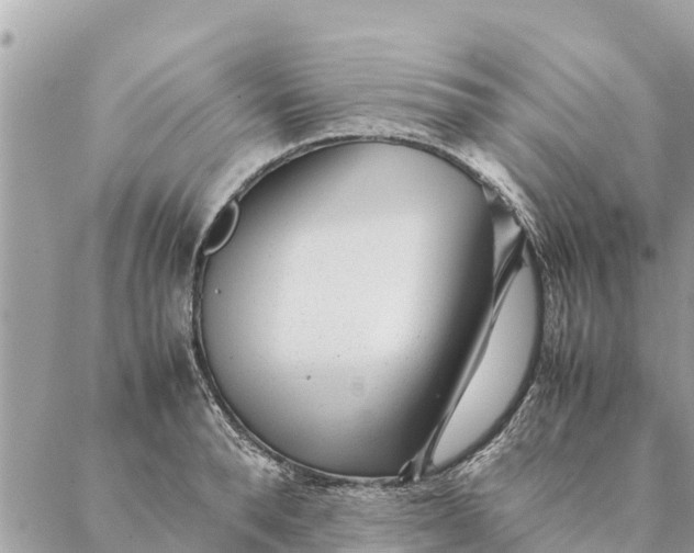 X0000087390896200705042007