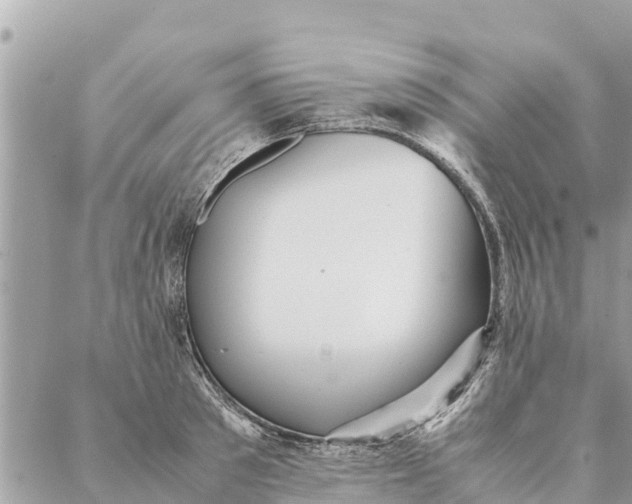 X0000087390897200705042007