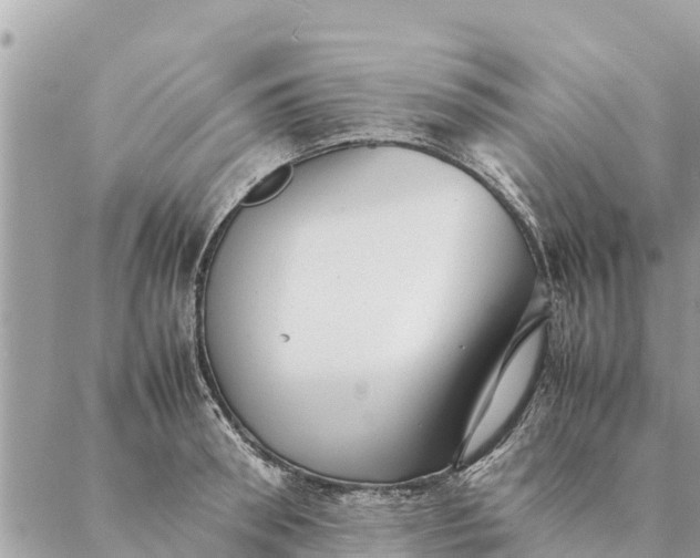 X0000087390898200705042007