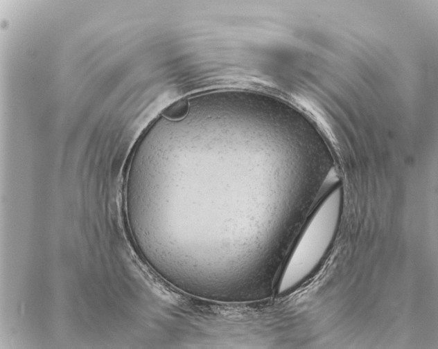 X0000087390899200705042007