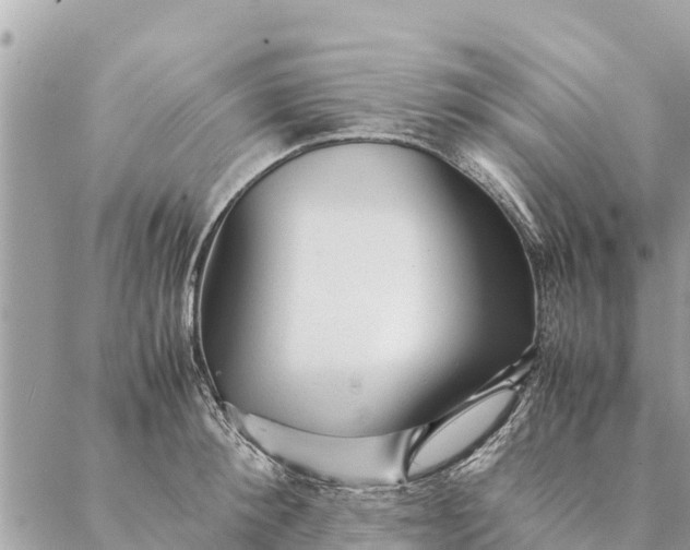 X0000087390900200705042007