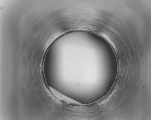 X0000087390901200705042007