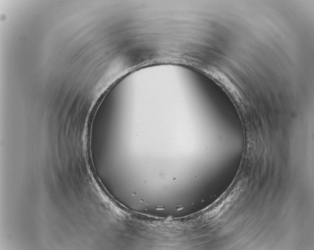 X0000087390902200705042007