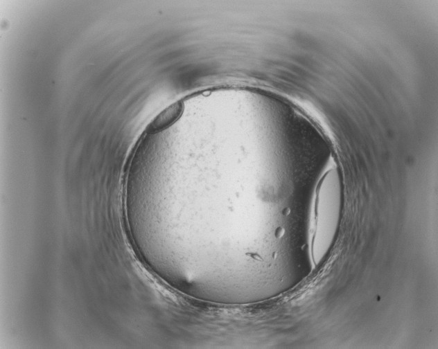 X0000087390903200705042007