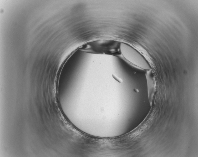 X0000087390904200705042007