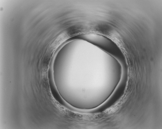 X0000087390905200705042007