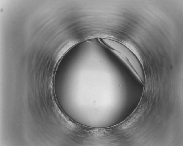 X0000087390906200705042007